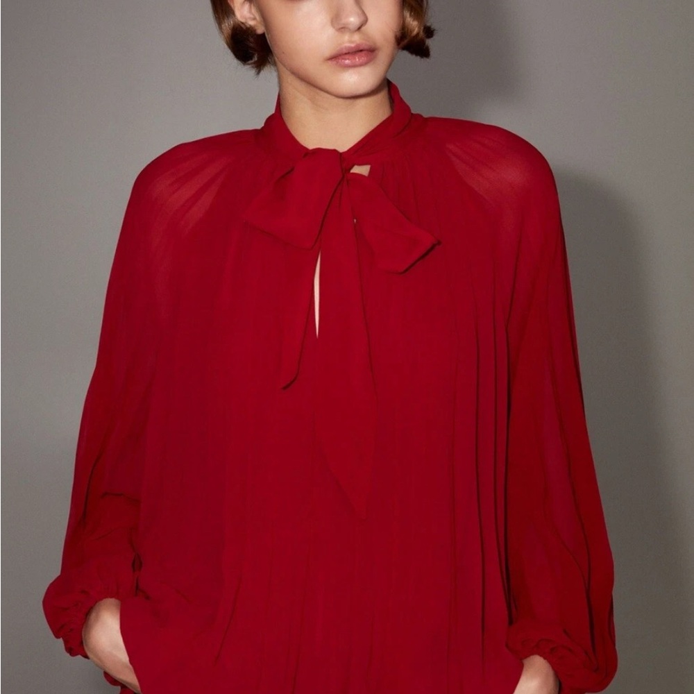 This is a set of 3 pieces. Zara Red Sheer Blouse and Banana Republic pants.